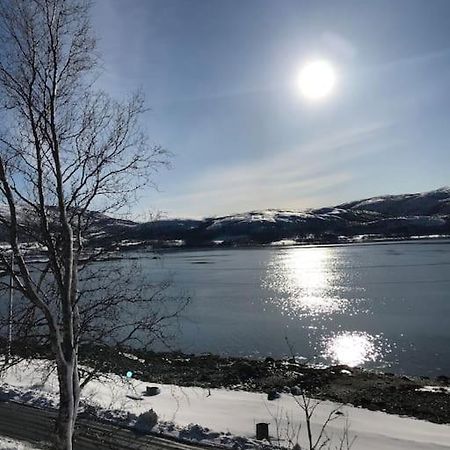 Trivelig Fritidshus Pa Arnes, Senja Straumstad Kültér fotó