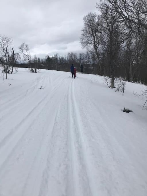 Trivelig Fritidshus Pa Arnes, Senja Straumstad Kültér fotó
