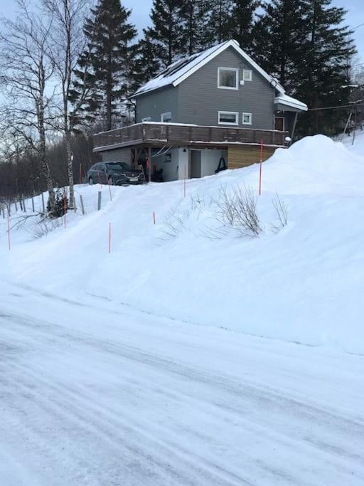 Trivelig Fritidshus Pa Arnes, Senja Straumstad Kültér fotó