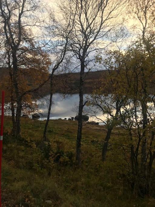 Trivelig Fritidshus Pa Arnes, Senja Straumstad Kültér fotó