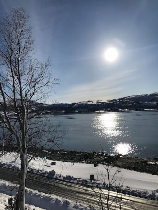 Trivelig Fritidshus Pa Arnes, Senja Straumstad Kültér fotó