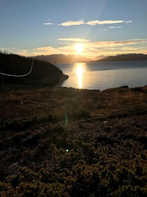 Trivelig Fritidshus Pa Arnes, Senja Straumstad Kültér fotó