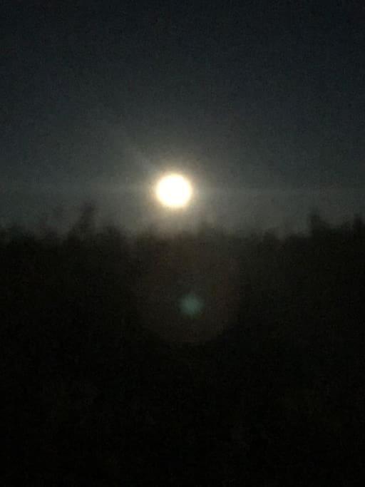 Trivelig Fritidshus Pa Arnes, Senja Straumstad Kültér fotó