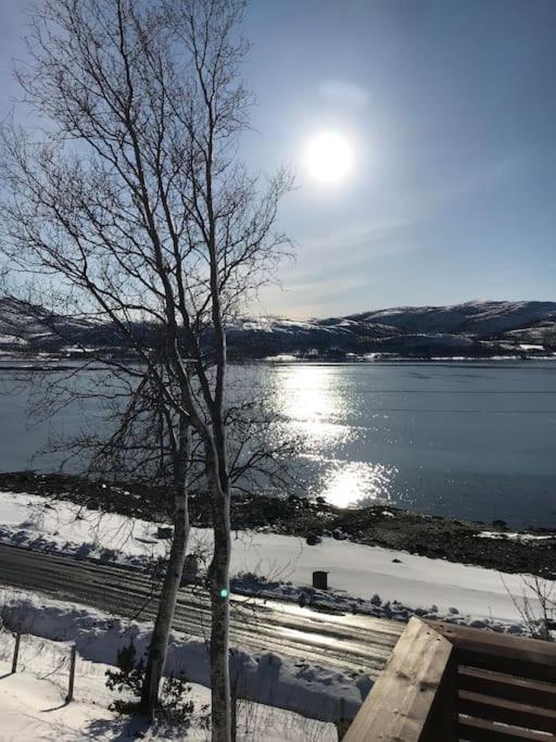 Trivelig Fritidshus Pa Arnes, Senja Straumstad Kültér fotó